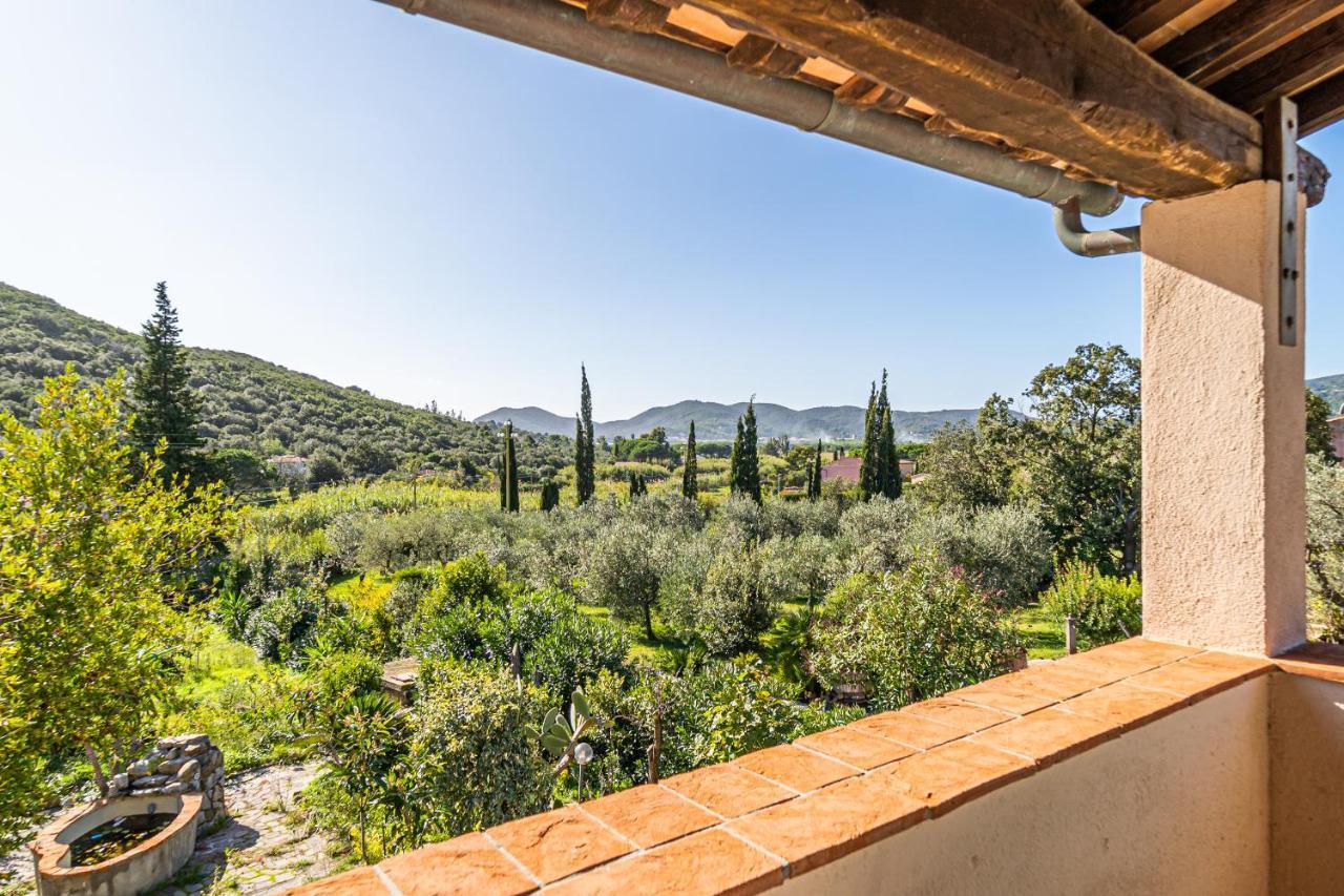 Case Vacanza Filetto A Marina Di Campo Literno Exteriör bild